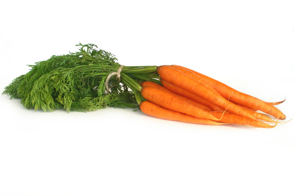 Porkkananippu